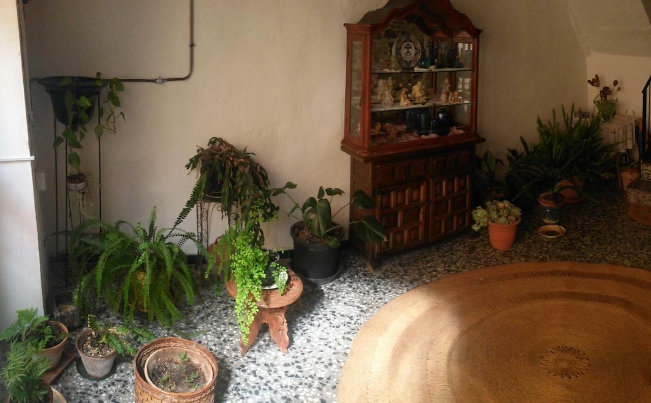 Apartament Rural Vilaplana Bagian luar foto